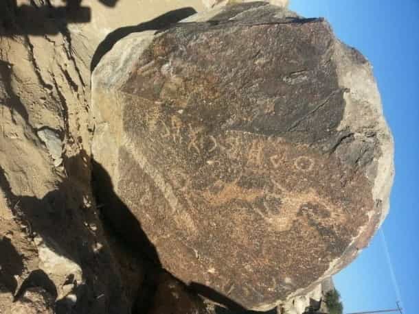 الشرعي الإحساء 3